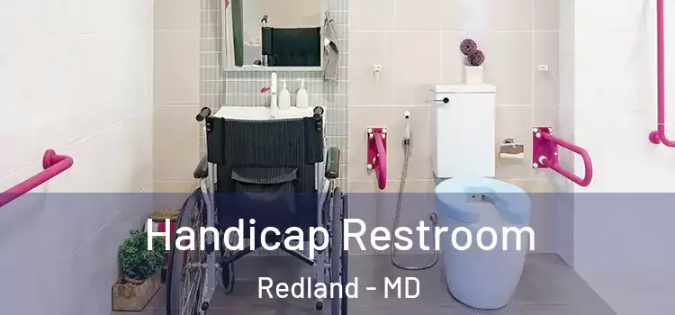  Handicap Restroom Redland - MD