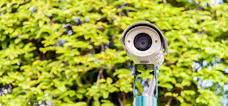 Advanced Surveillance Solutions for Every Need in Redland
