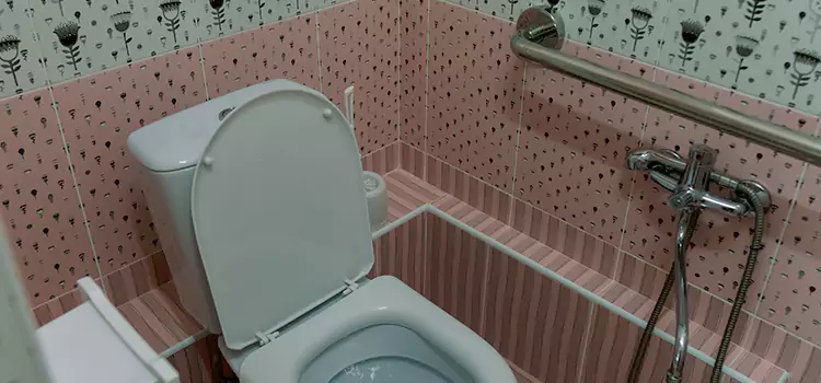 Meeting Diverse Needs With Accessible Restroom Solutions in Redland, MD